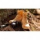 PANAMA JACK ROUTE BOOT REPORTER-STIEFEL VINTAGE_OCRE