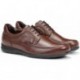FLUCHOS 8498 LUCA AVE CASTANO